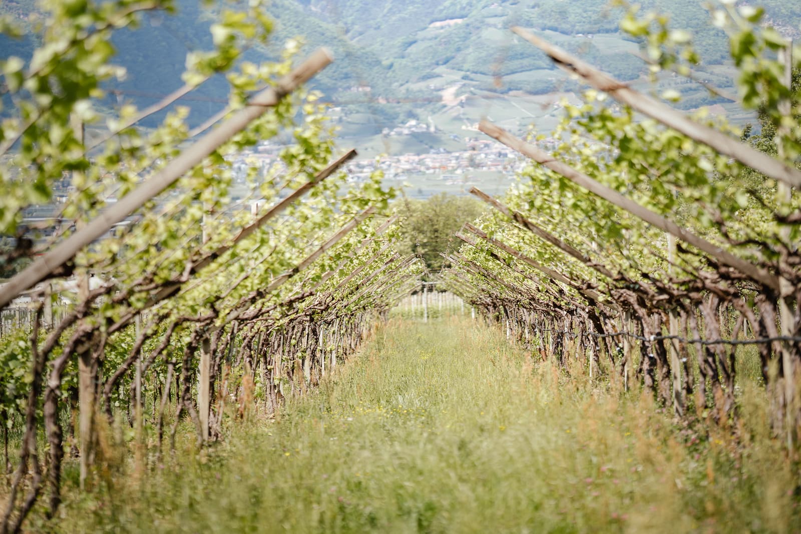 Alto Adige e Trentino