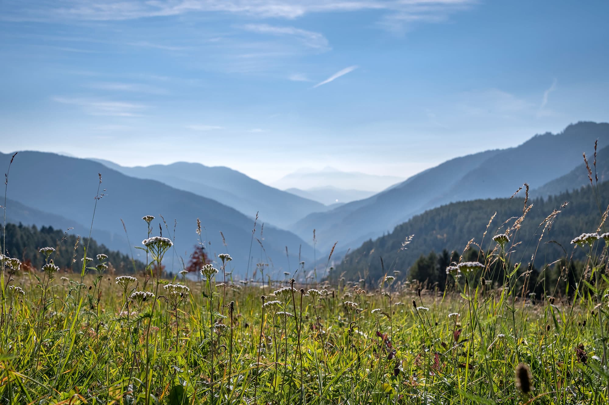 Natur 15