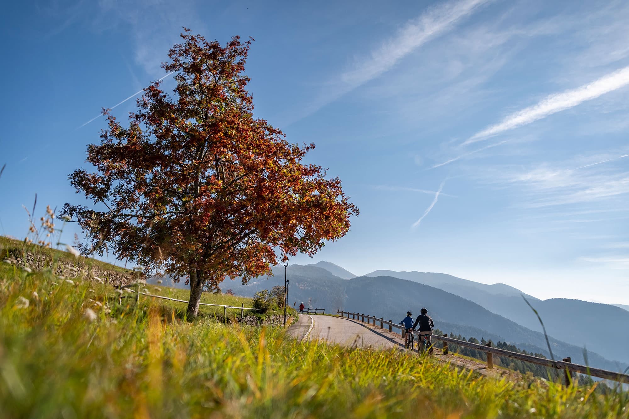 Natur 16